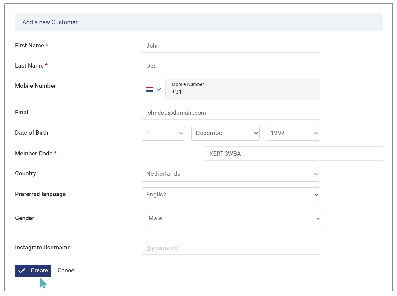 Enter New Customer Details