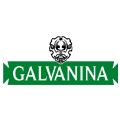 Galvanina