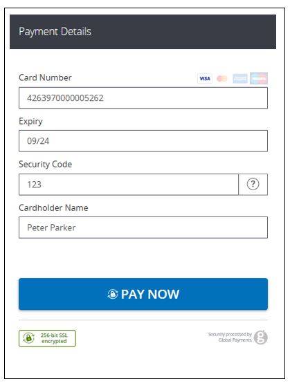 A credit card payment page filled with dummy data.