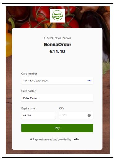 A Mollie checkout page showing store logo, background image, and a custom Pay button color.
